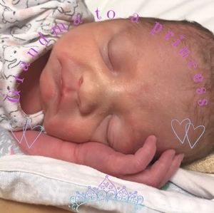 Meet your Posher, Nichole